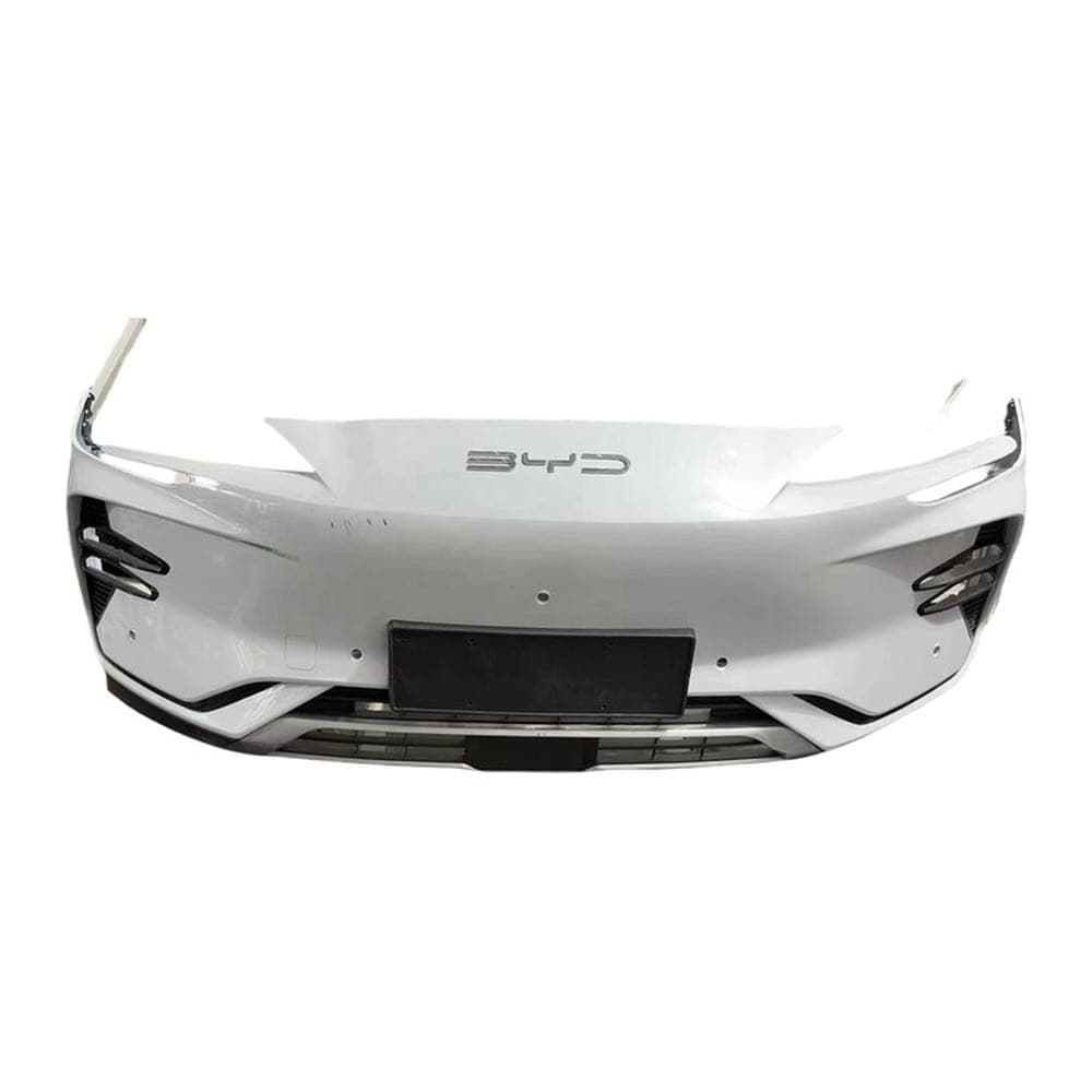 Bamper Oldi Oq Sbor — BYD Champion Electric